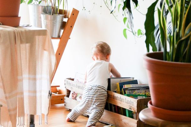 bambino futuro piante green