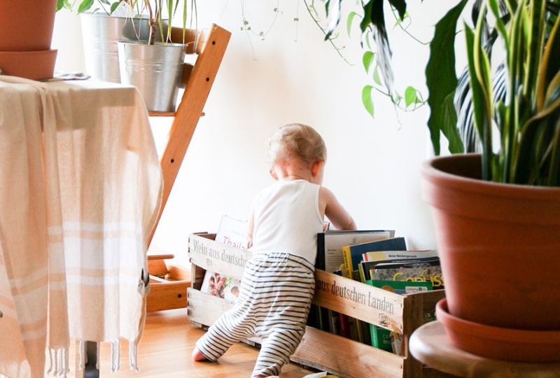 bambino futuro piante green