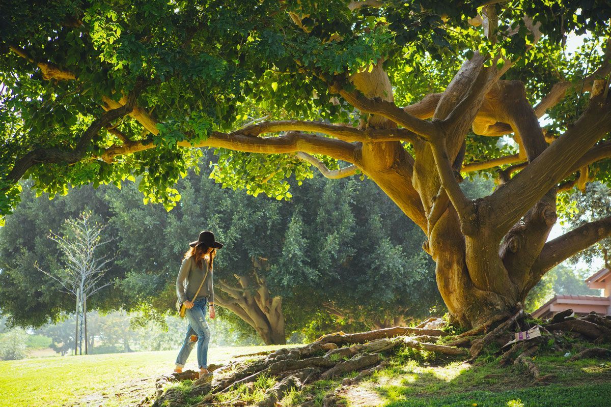 donna vicino casa immersa nel verde